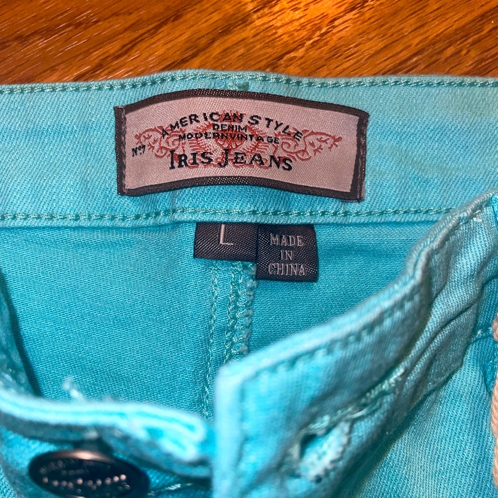 Size L Shorts Teal Color